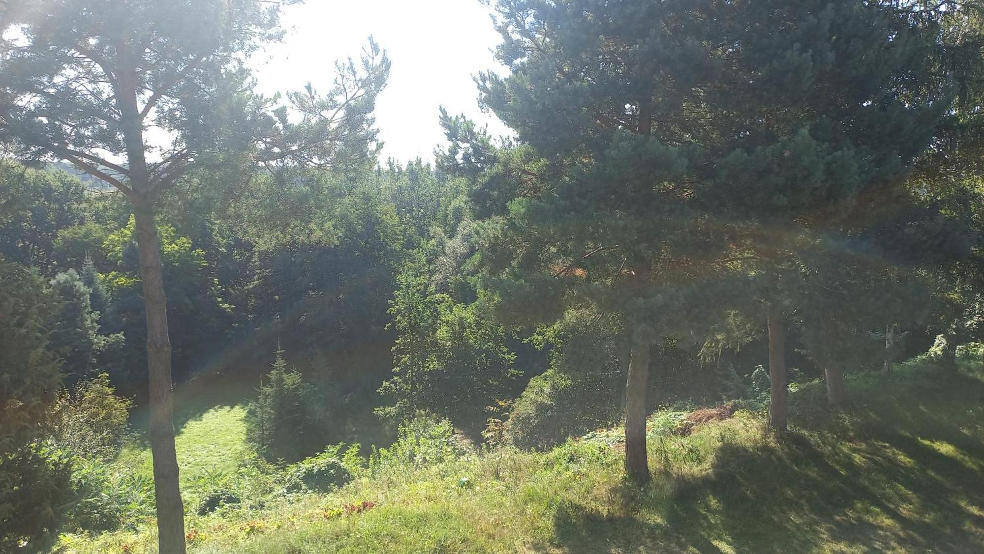 Apartamenty Warka Εξωτερικό φωτογραφία